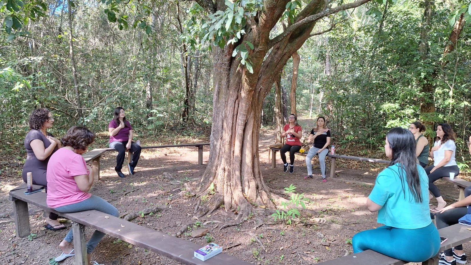 Detalhes da natureza